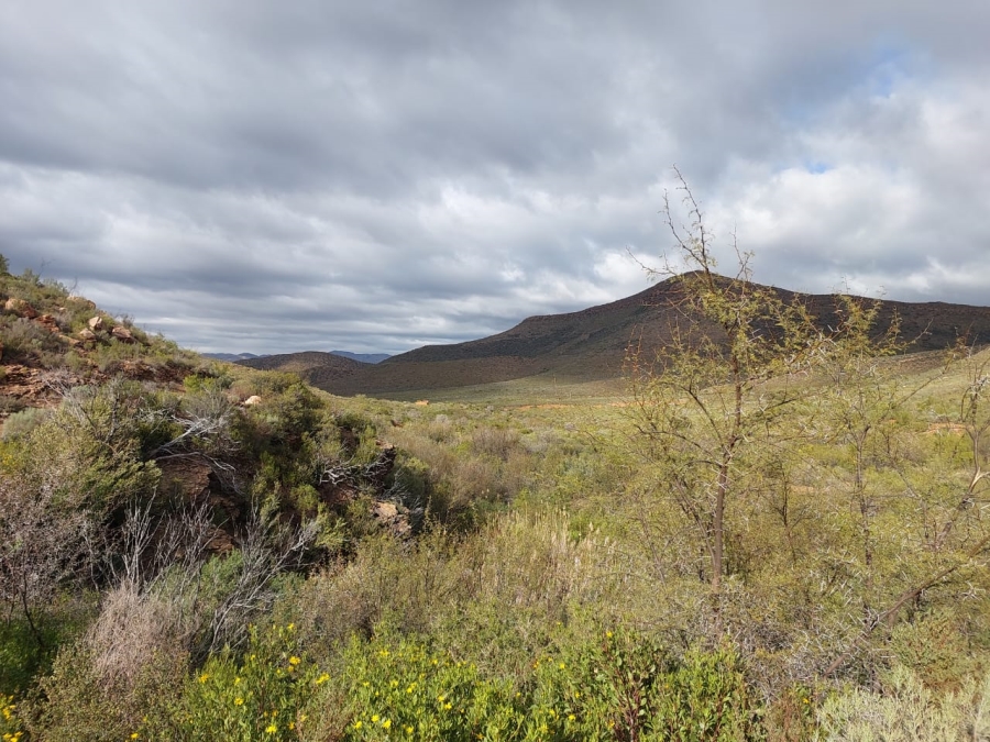 7 Bedroom Property for Sale in Ladismith Rural Western Cape